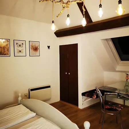 Apartment Stadl